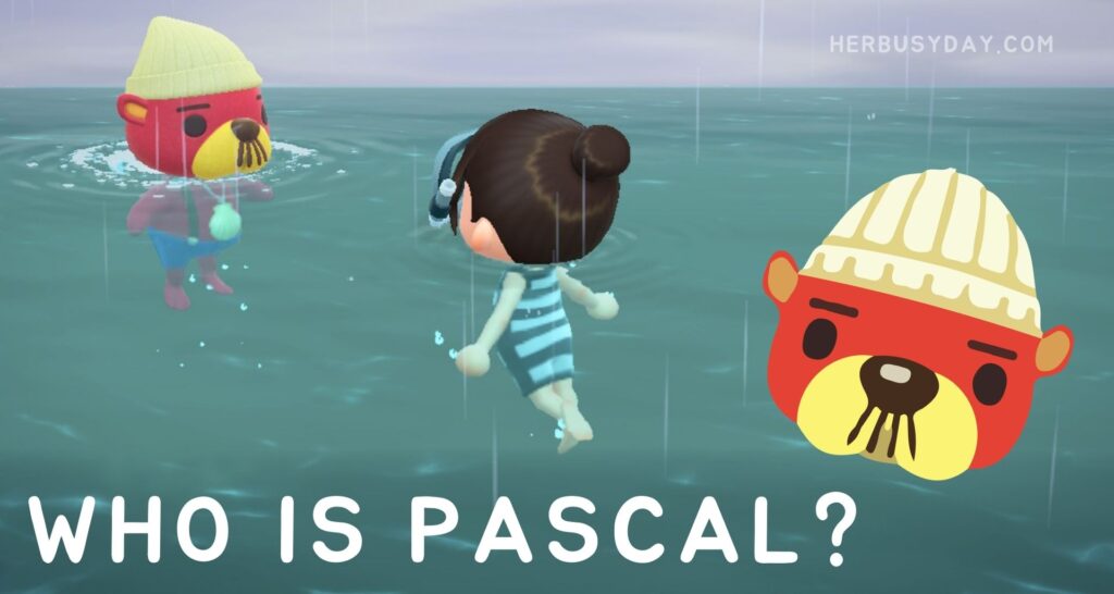 Diving for Scallops: Pascal, Pearls, and Mermaid DIYs! (Animal